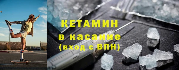 шишки Арсеньев