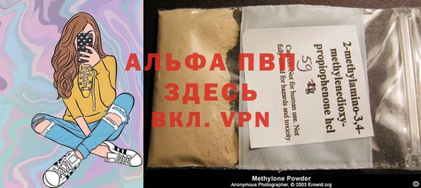 шишки Арсеньев