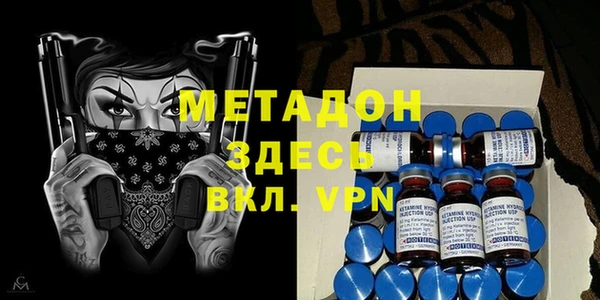 шишки Арсеньев