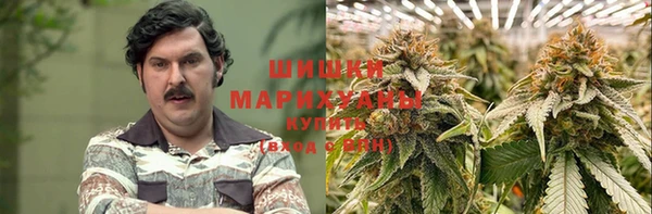 шишки Арсеньев