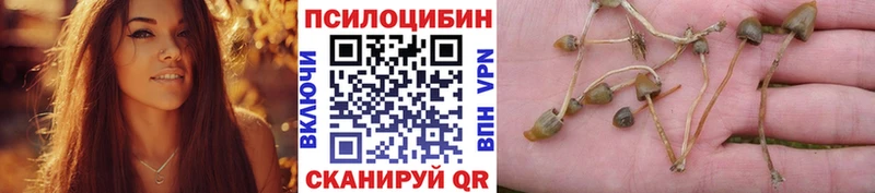 ОМГ ОМГ ссылка  Камбарка  Галлюциногенные грибы мицелий 